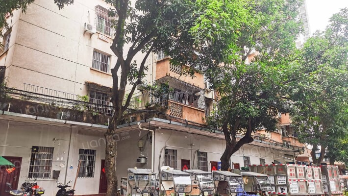 环境卫生管理站宿舍外景图