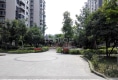 清河阳光1