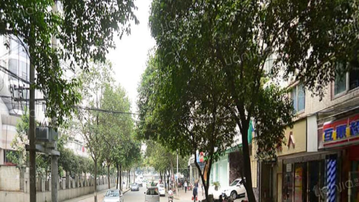 星辉西路14号外景图