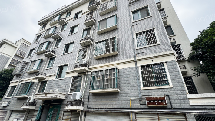 大唐花苑外景图