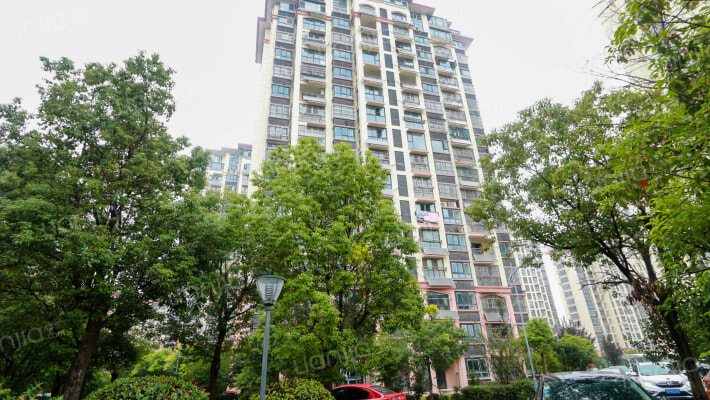 国子家缘外景图