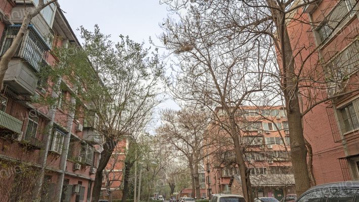 北京邮电大学家属院外景图