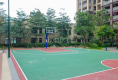 新怡豪门13
