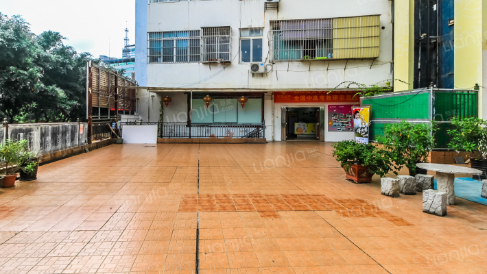 青年国际外景图