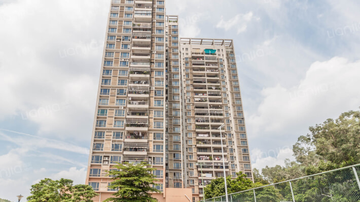 金花园小区外景图