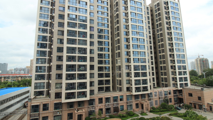 鲁鸿37度外景图