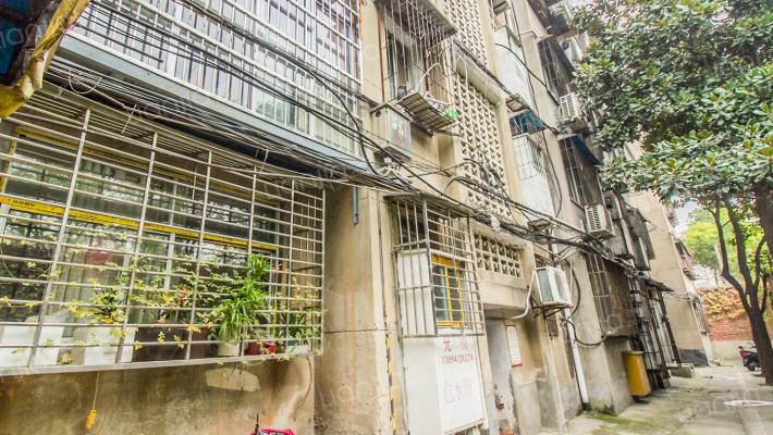 环城公园家属院外景图