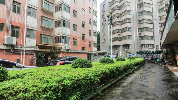 五十小区翠桐雅苑小区外景图