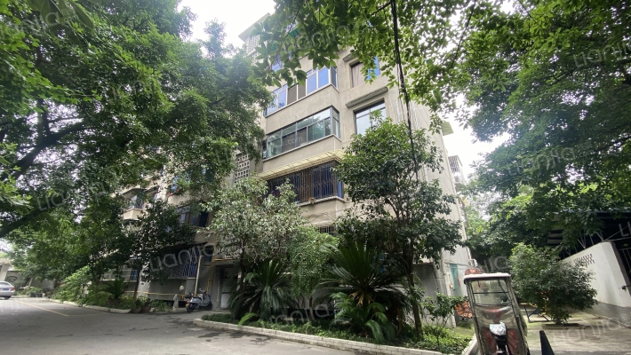 宝光大道北段159号外景图