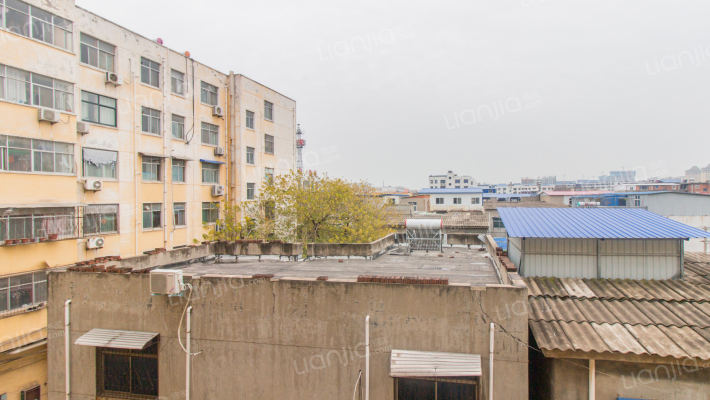 东城公司家属院外景图