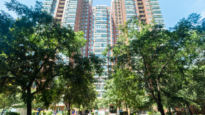 高科新花园外景图