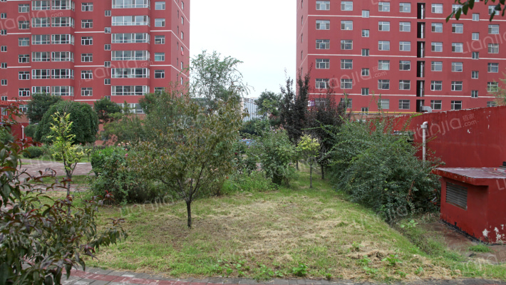 龙海方舟外景图