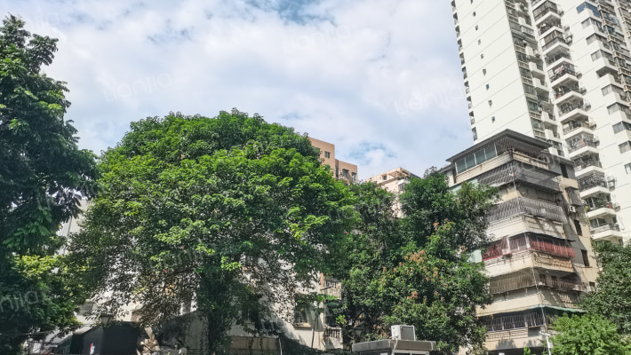 市政府新民路宿舍（新民路12号）外景图