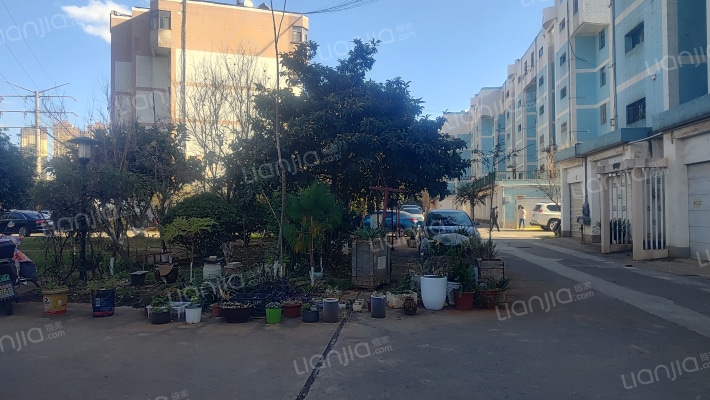 金实小区天实园外景图