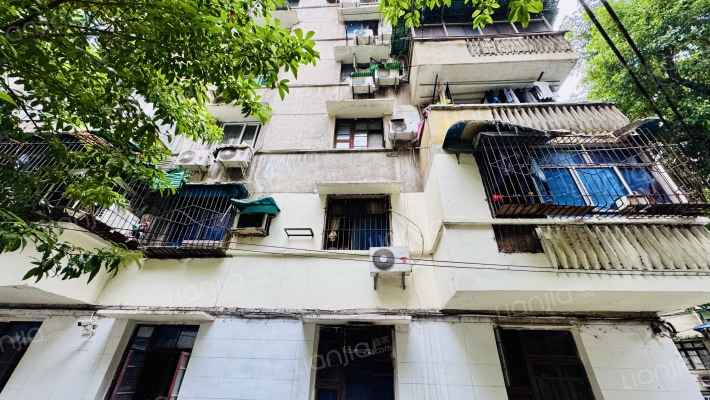 红育坡62号外景图