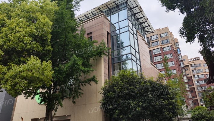 东湖印象唐安东路428号外景图