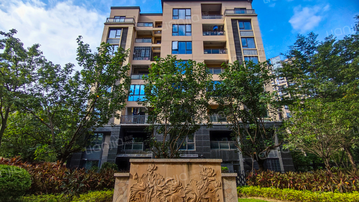 欣盛丰森林海外景图