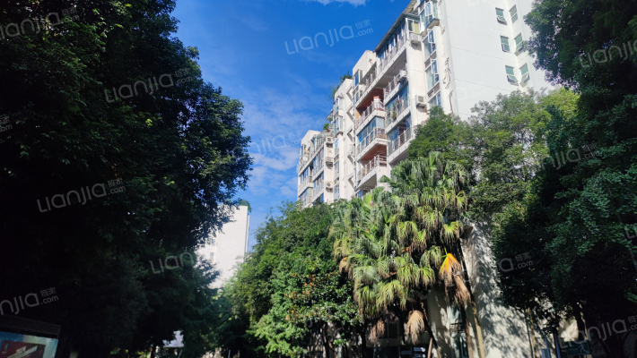 东山国际新城B区外景图