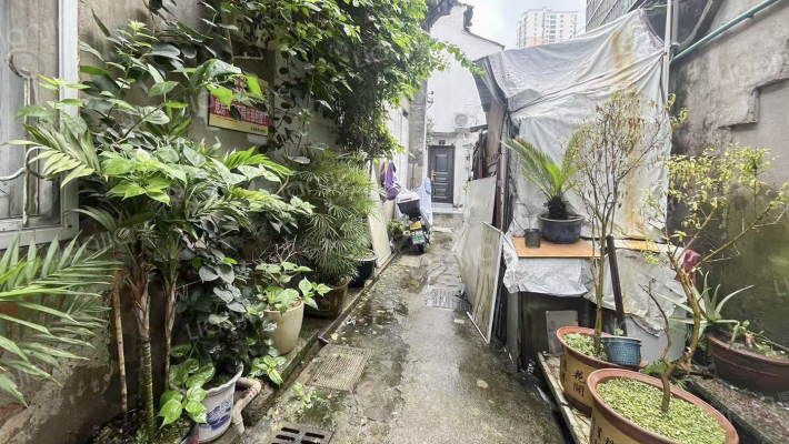 屯前街131弄9号外景图