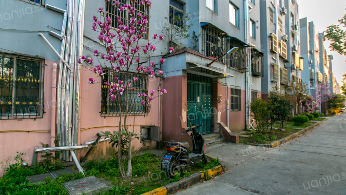 康桥花园外景图