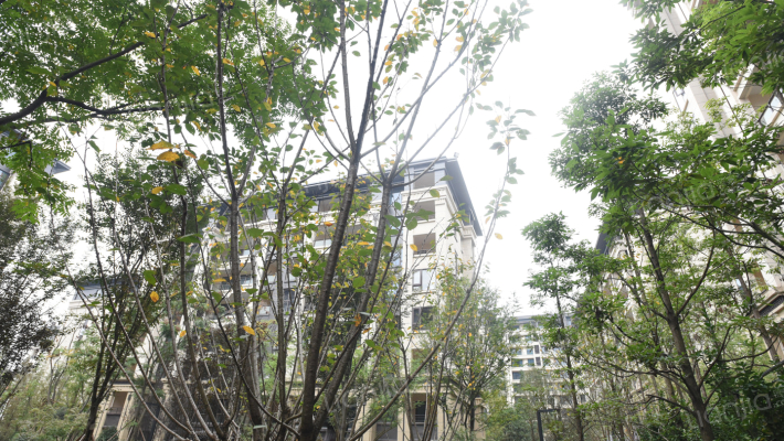 龙湖九里晴川(别墅)外景图