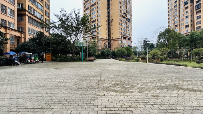 东城国际外景图