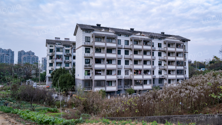 杨秀坞公寓外景图