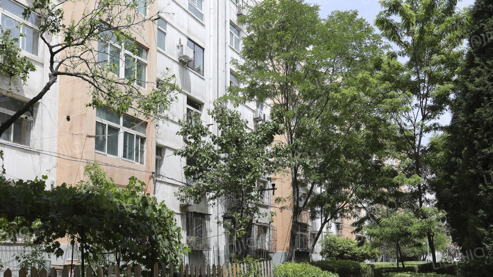 医科大南院外景图