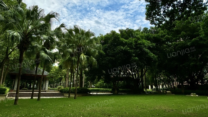 南湖半岛花园外景图