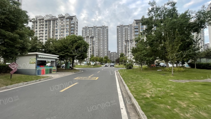 金香花苑外景图