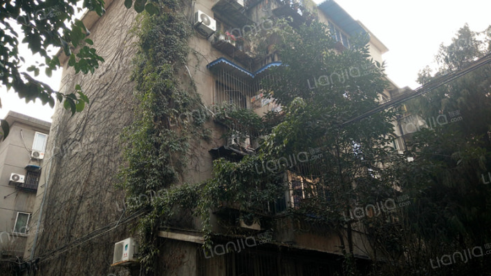 东风路20号外景图