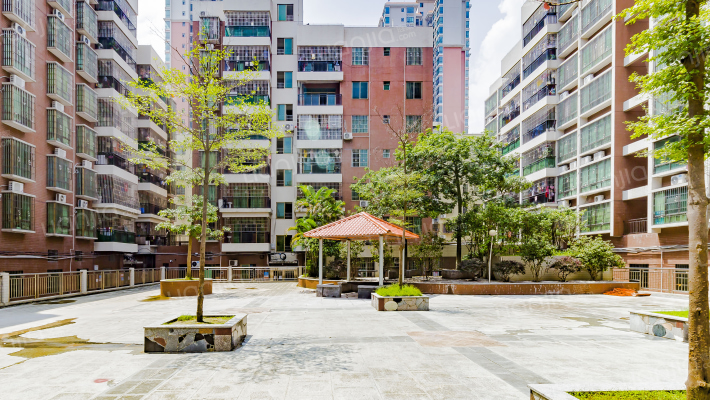 龙鑫阁A区外景图