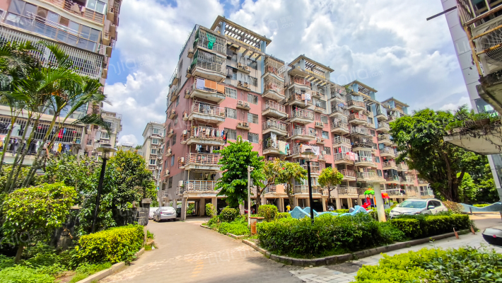 金辉东景外景图