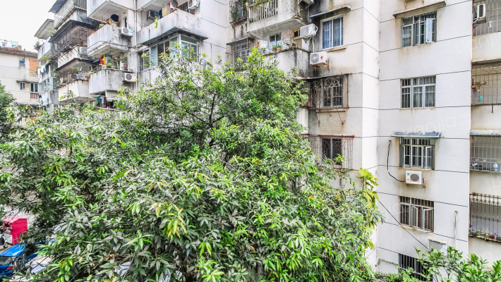 区党委印刷厂宿舍外景图