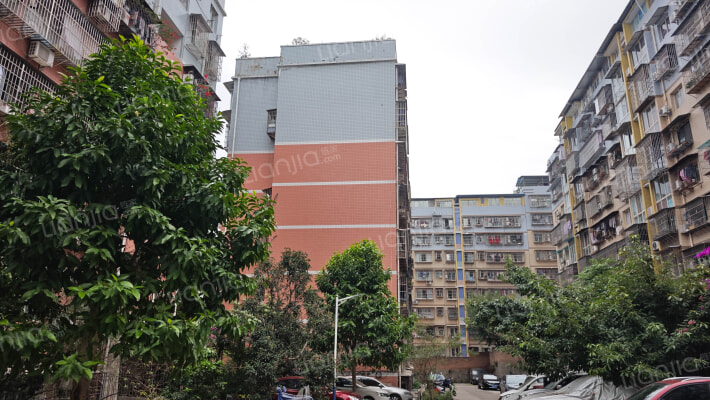 安庆路533号外景图