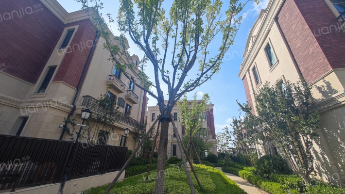 金地蓝泰观海听澜外景图