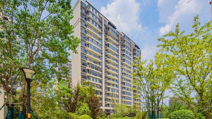 红星天铂外景图