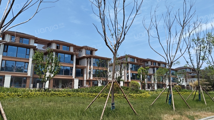 金御上品外景图