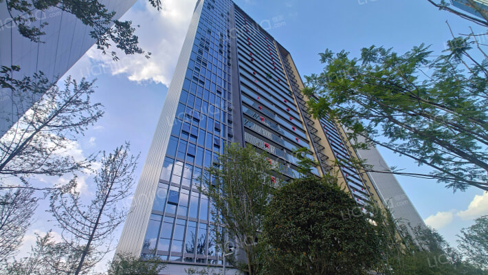 东安湖1号外景图