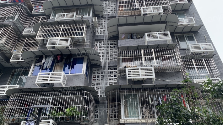 蓓蕾东巷3号外景图