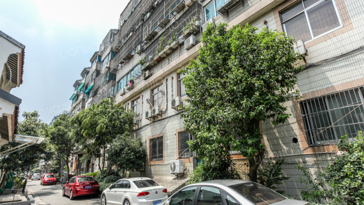 留园路散盘外景图