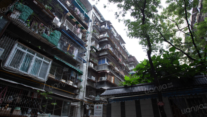 群和街5号外景图