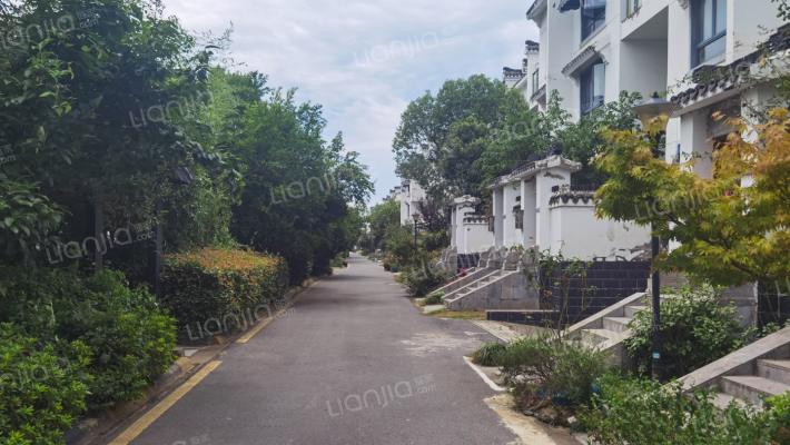 大吉山水田园外景图