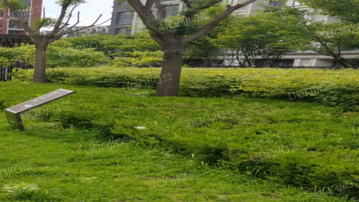 中南玖熙墅外景图