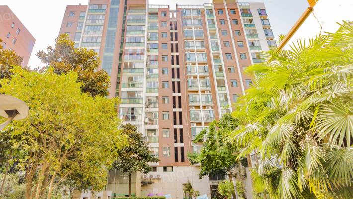 金家6号尚品外景图