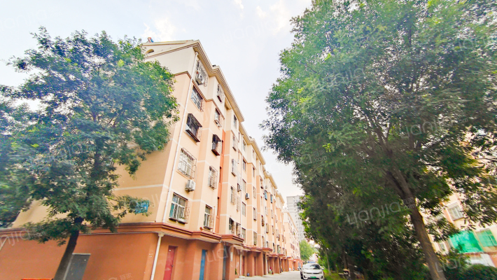 双山花苑外景图