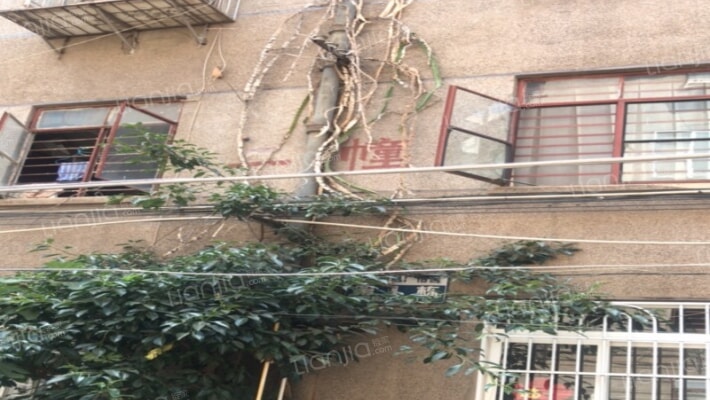 化工机械厂宿舍（巡津街）外景图