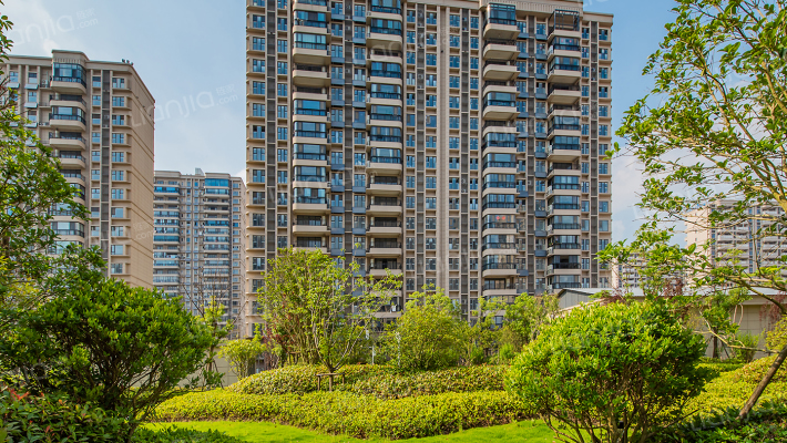 碧桂园东洲壹号院外景图