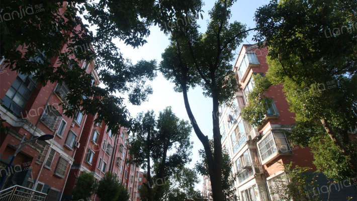 上海丽苑外景图