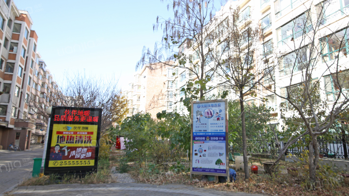 君临天下杏花雅居外景图